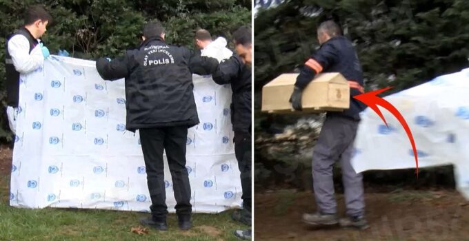 Yol kenarında yeni doğmuş bebek cesedi bulundu